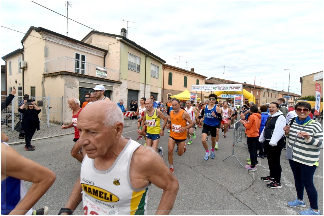 San Pancrazio: Trofeo dell'Uva - 13 ottobre 2024